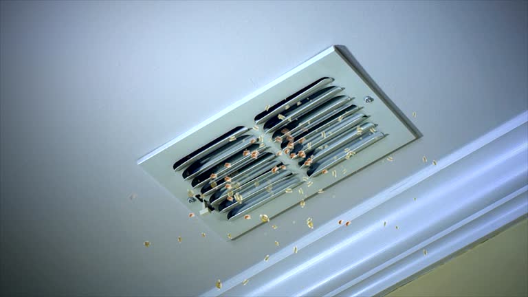 Best Air Vent Cleaning Services  in Orcdlands Estates, HI